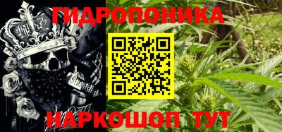 крисы Малгобек