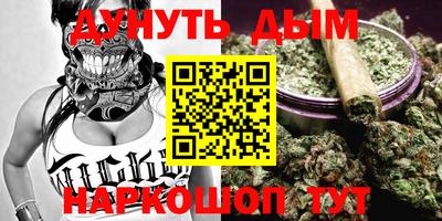 крисы Малгобек