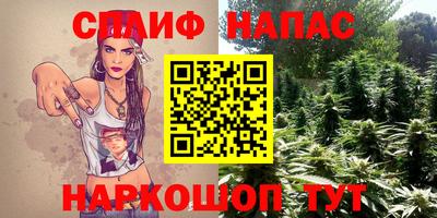 крисы Малгобек