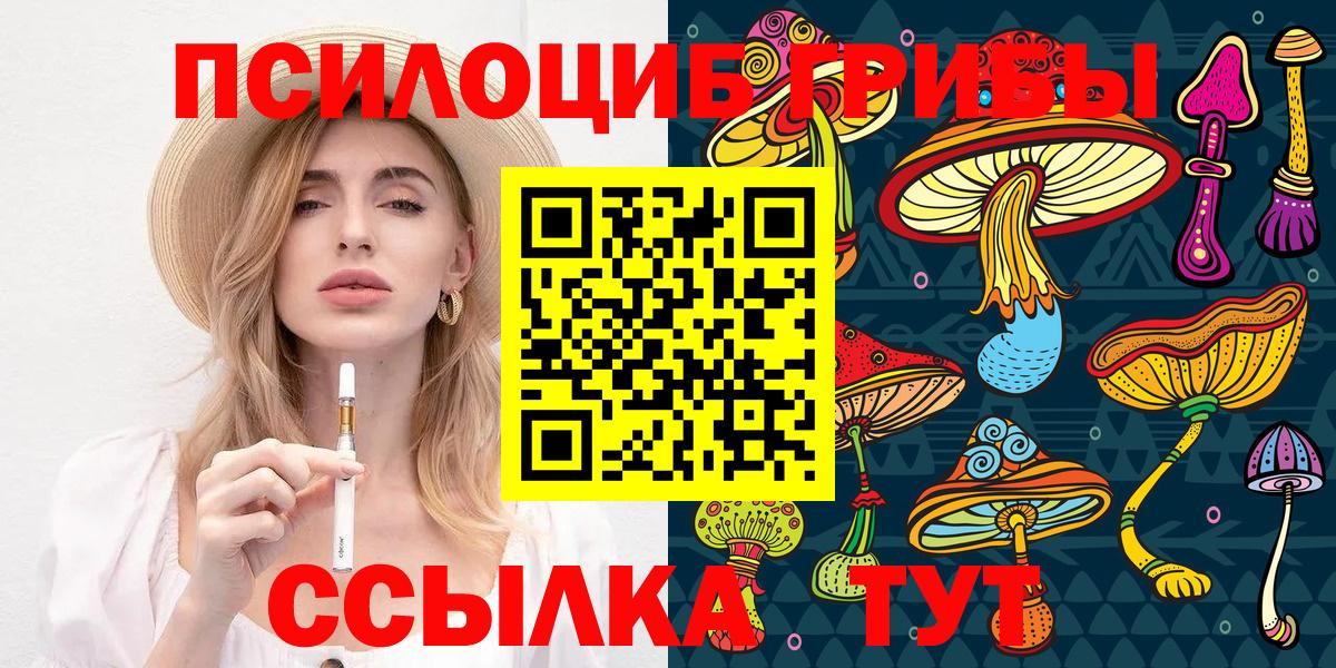 Галлюциногенные грибы Magic Shrooms  Псилоцибиновые грибы мицелий  Грязи  Вход с VPN 