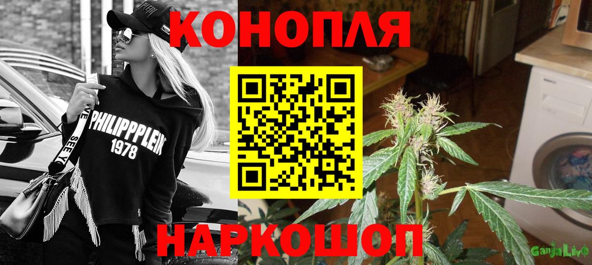 МАРИХУАНА SATIVA & INDICA Грязи
